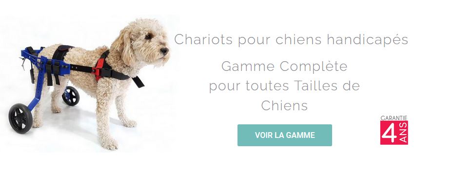 HARNAIS D'AIDE POUR CHIEN TOUTES TAILLES - Orthopédie Canine